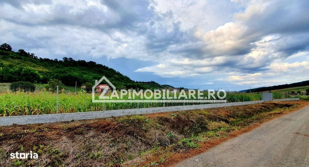 Teren intravilan 25 ari la iesire din Livezeni spre Ivanesti 48 eu /mp