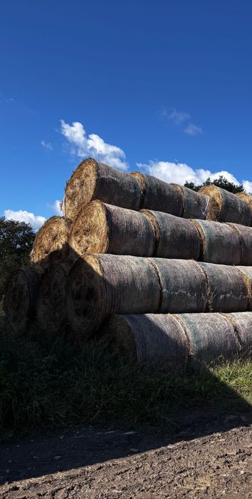 Baloturi de fân de primă calitate – mari, dense– 370/400 kg – 200 lei