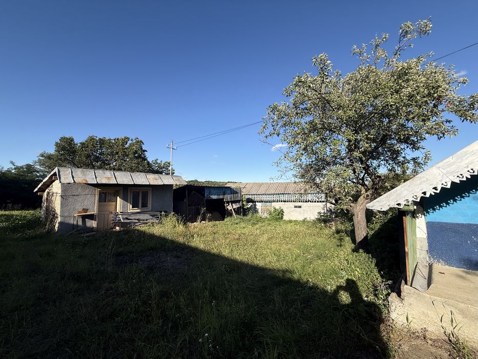 Casa + teren zona viticola Cotnari / Cucuteni- sat Baiceni