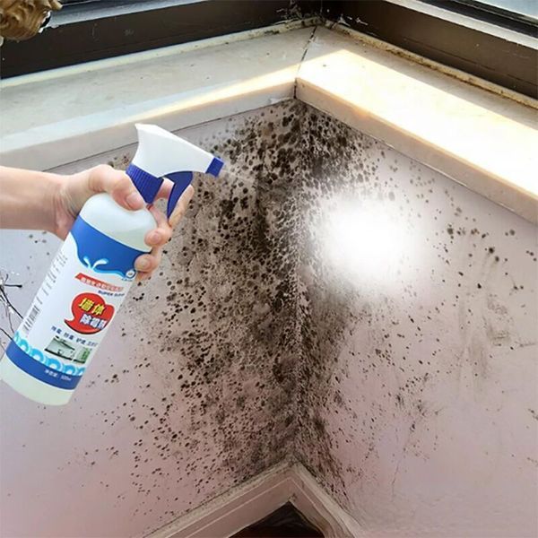 Средство за премахване на мухъл и плесен с дълготраен –MoldWallRemover