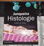 Junqueira editia 13 , noua
