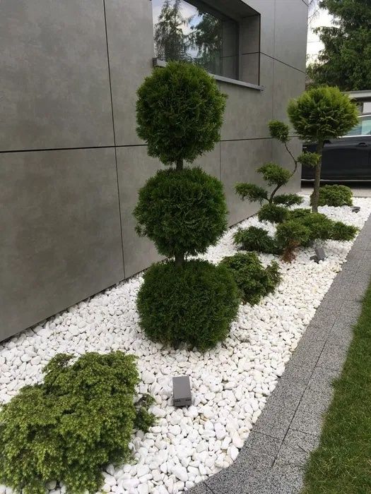 Натуралный ландшафт тошлари