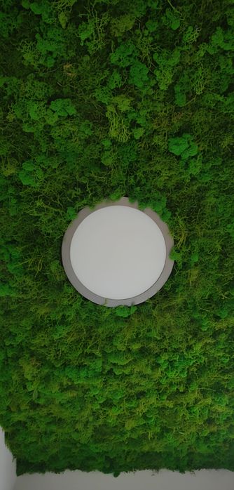 Inspire Fixed LED Spotlight 830 cm, 30W, 3,700 lm, 6000K, Grey/White