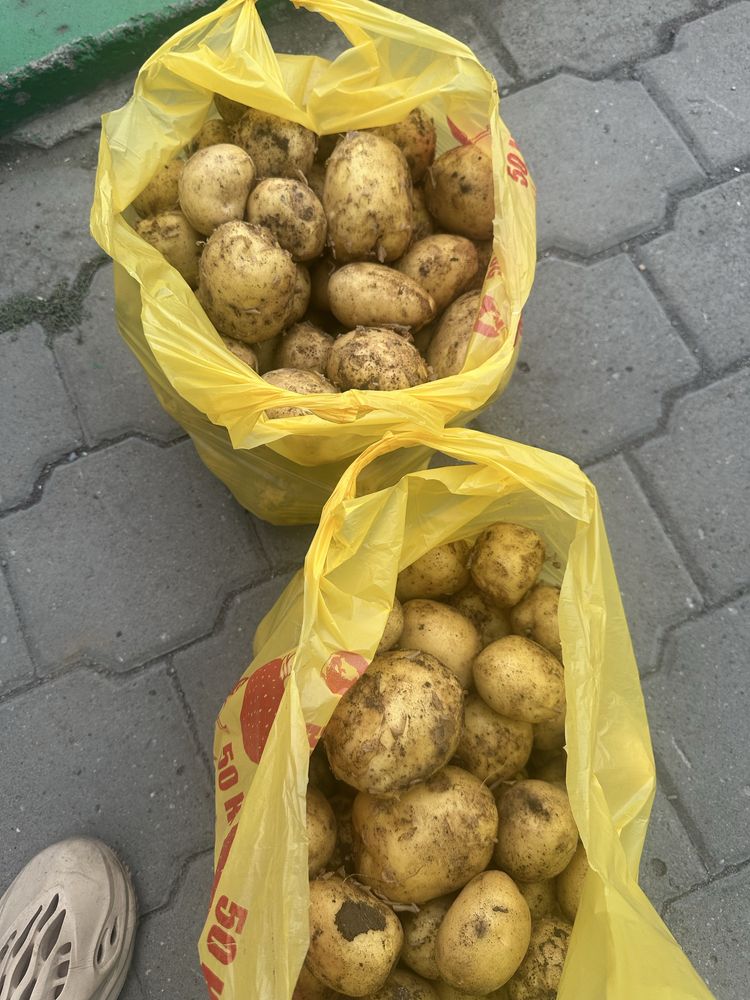 Картошка с доставкой