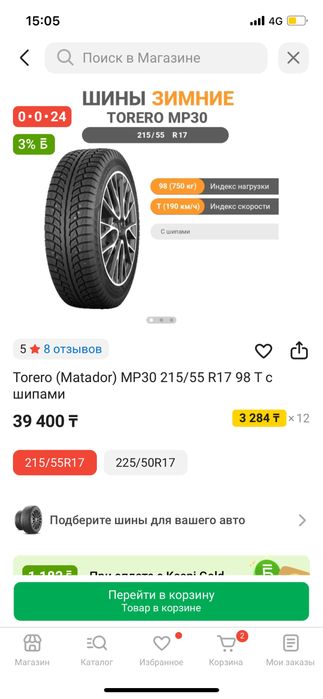 Зимные шыны шыпы