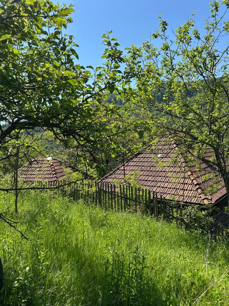Casa de vanzare cu anexe
