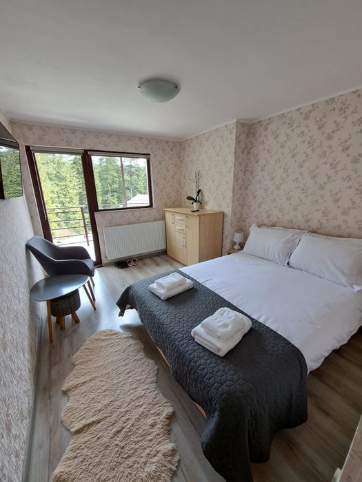 Cazare Busteni Vila Monica