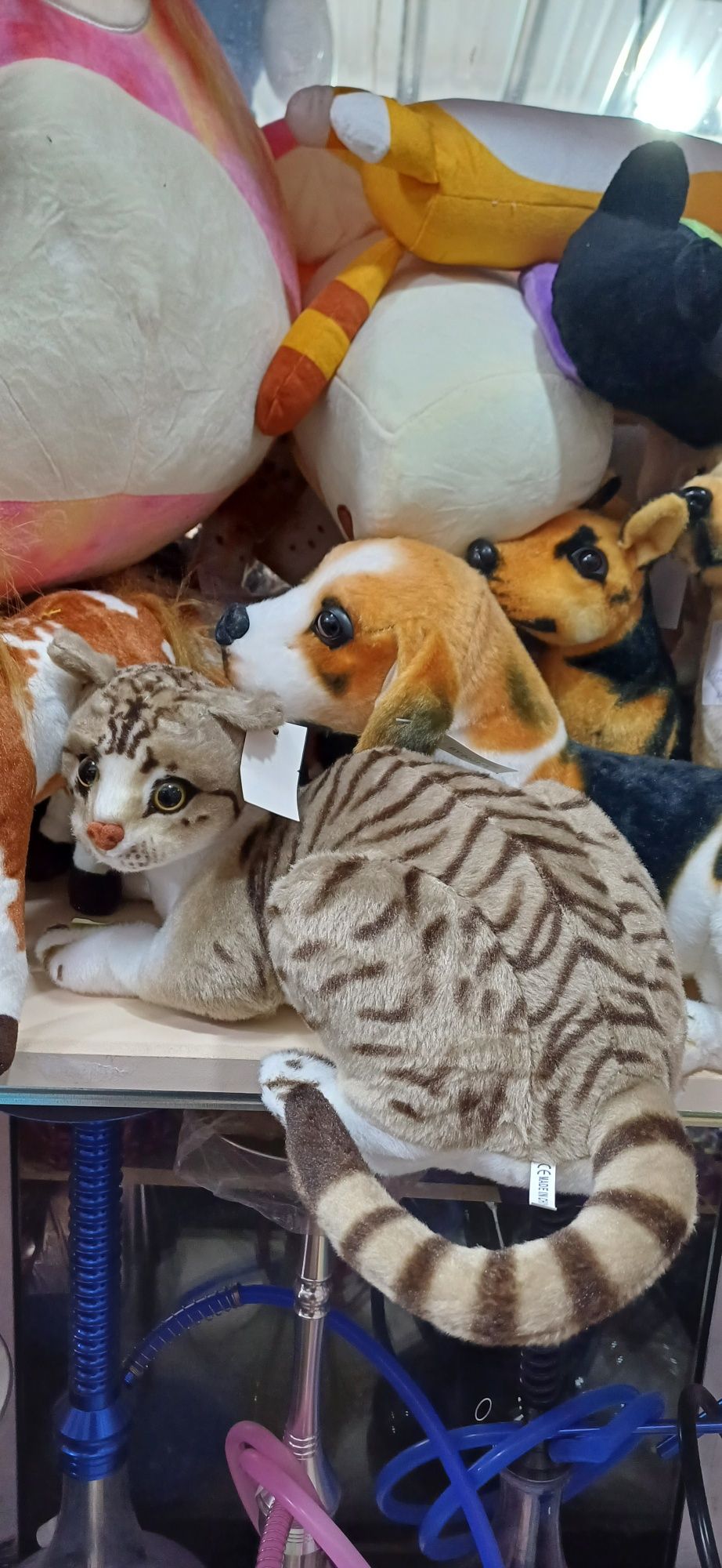 Плюшени котки различни видове