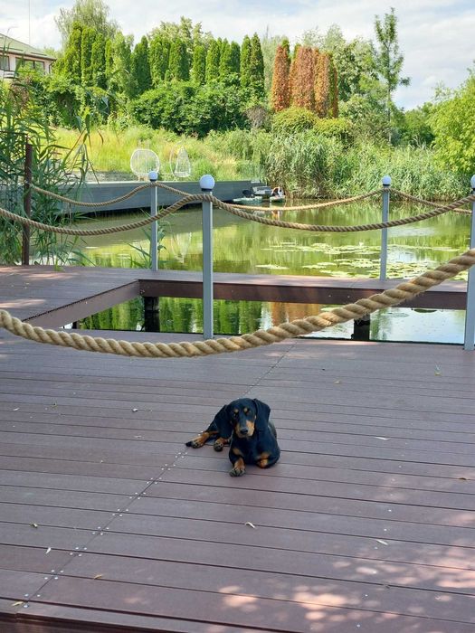 Vila cu ponton, lac Snagov, Izvorani