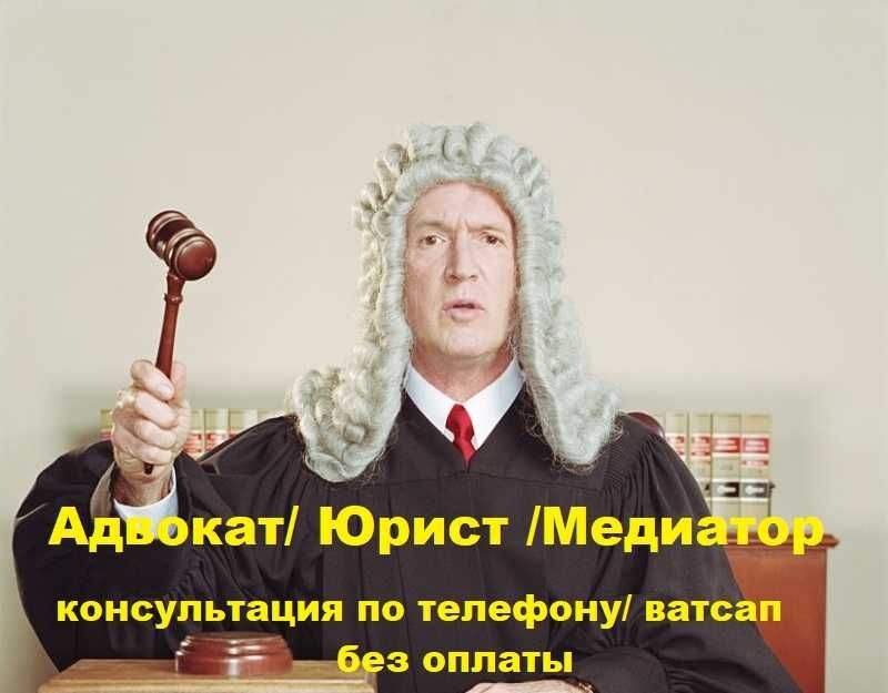 Сильный юрист/адвокат. Взыскание долга, возмещение ущерба и вреда