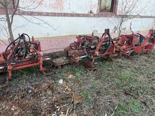 Freze cu palpator vie sau livada