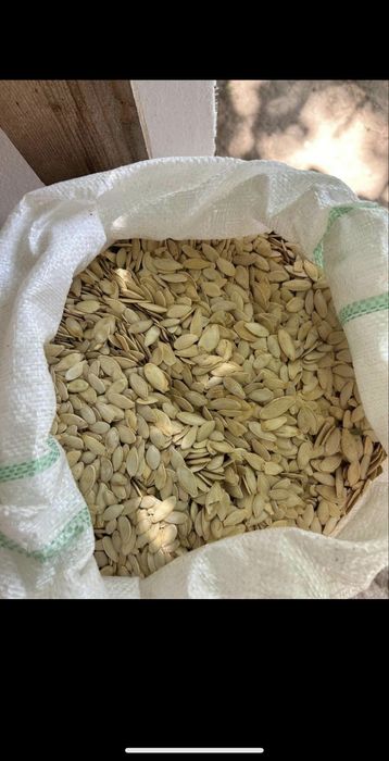 Vand Semințe de dovleac