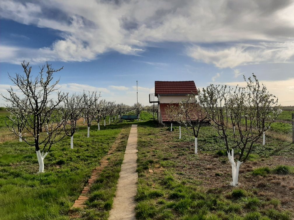 Gradina cu Casuța de vis de vinzare 5.000 mp