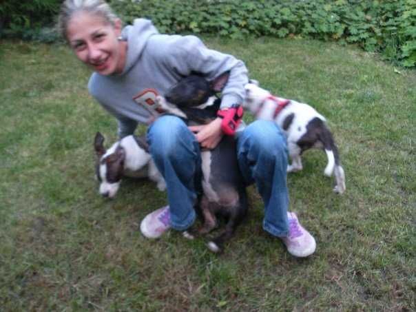 Нова Година БЕЗ СТРЕС от Пиратки Гледане на Кучета и Котки Къща с Двор