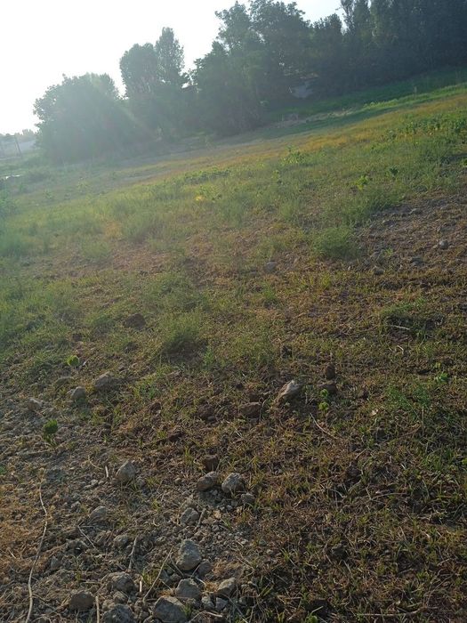 Yer sotiladi 6 sotix