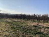 Teren de vanzare ,Radesti,Arges sup. 3142mp. intravilan