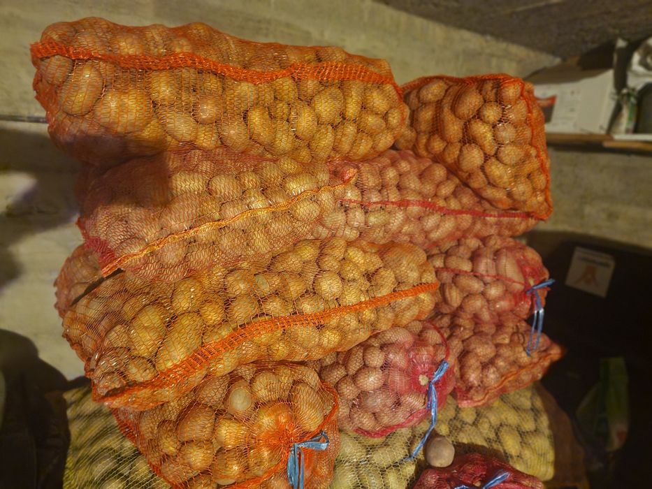 Catofi de vanzare , 2 ron kg