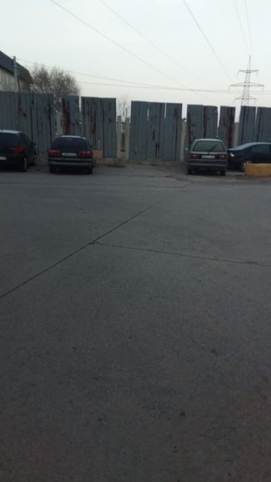 Профессиональная посадка-пересадка деревьев Лечение деревьев спил дере