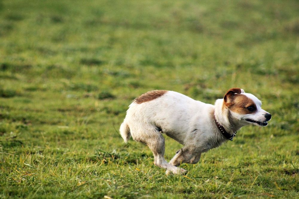 Canon 75-300mm f/4-5.6 USM EF обектив Канон