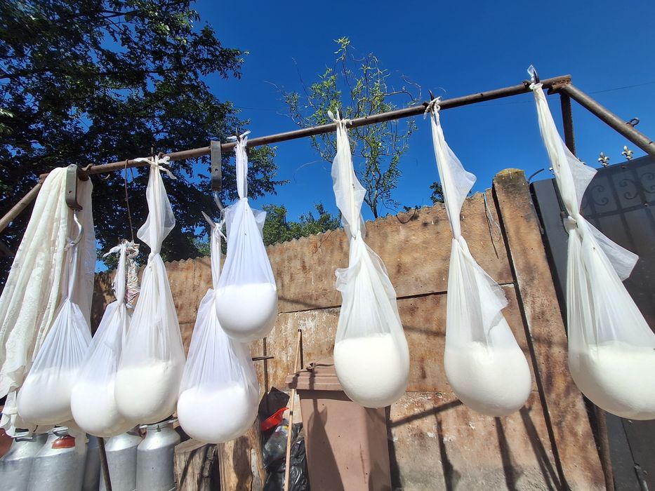 Aducem brânză de oaie in severin 25lei kg. pt comenzi nr tel 075566650