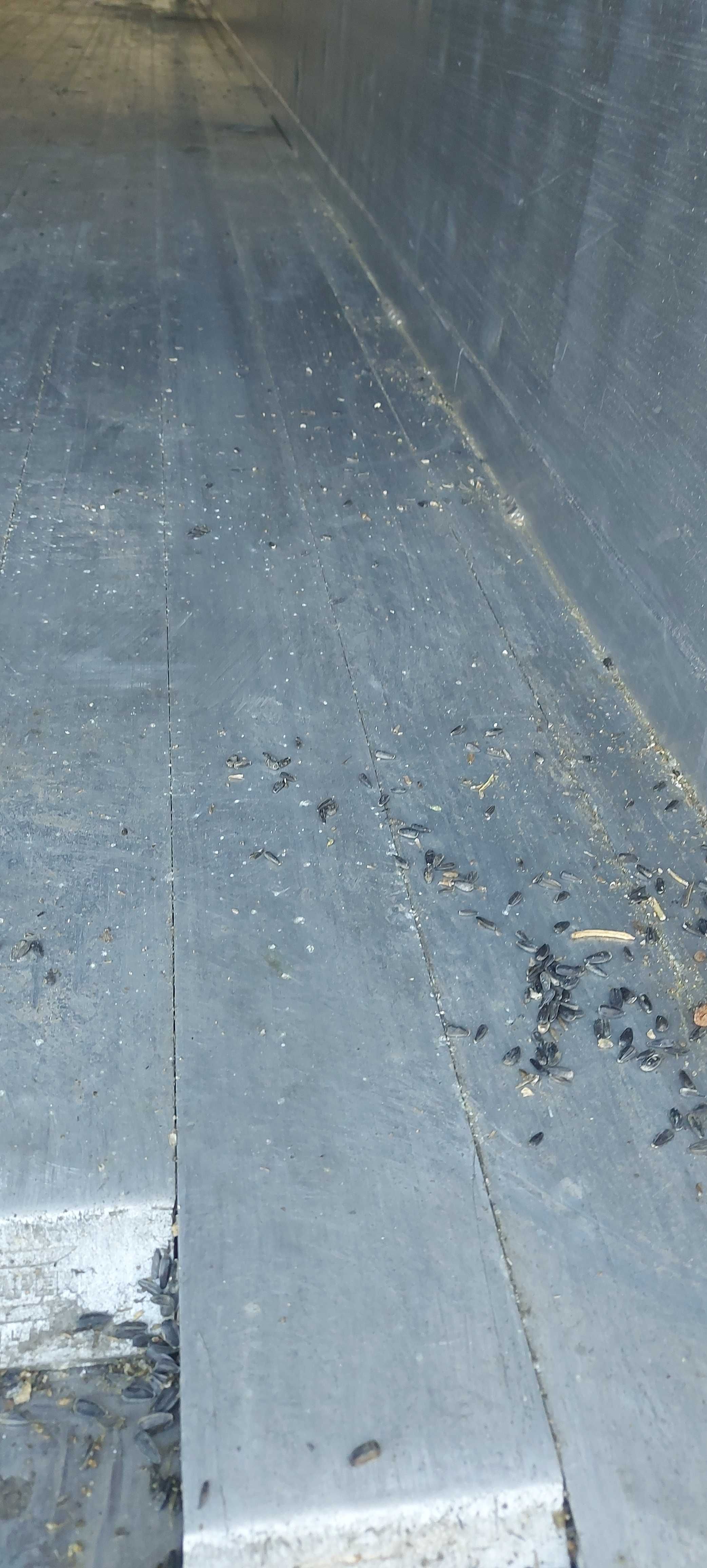 WalkingFloor kraker CF200 2014