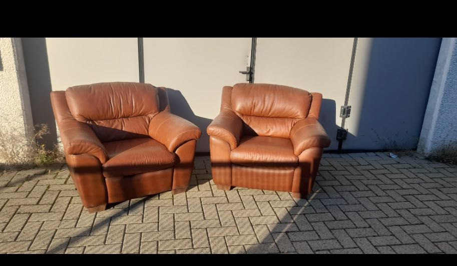 Fotolii de piele