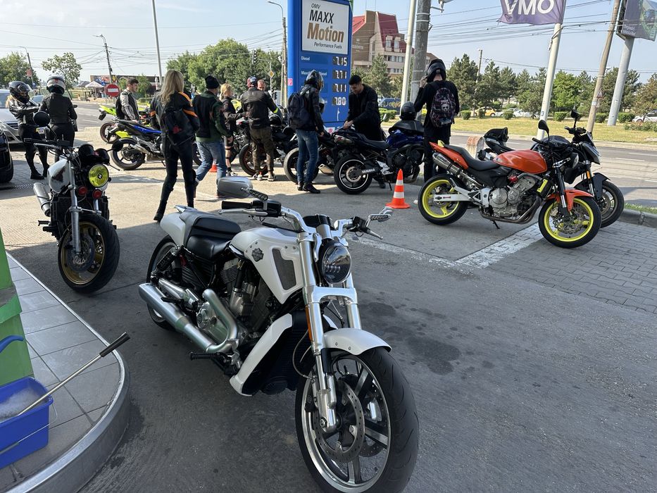 Harley Davidson VRod Muscle