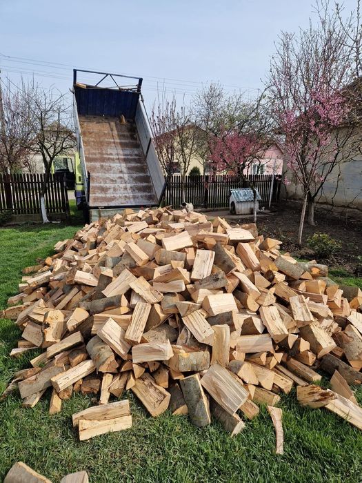 Lemn de foc Fag – Tăiat si crăpat, livrare rapidă