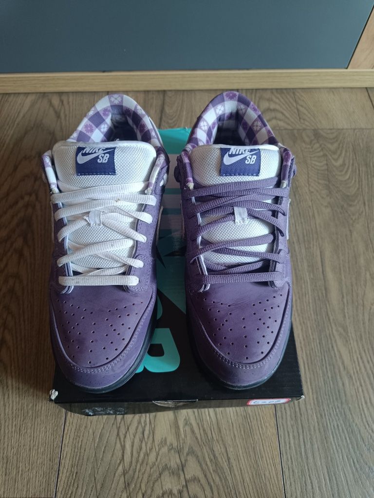 Маратонки Nike Dunk SB Low Purple Lobster.