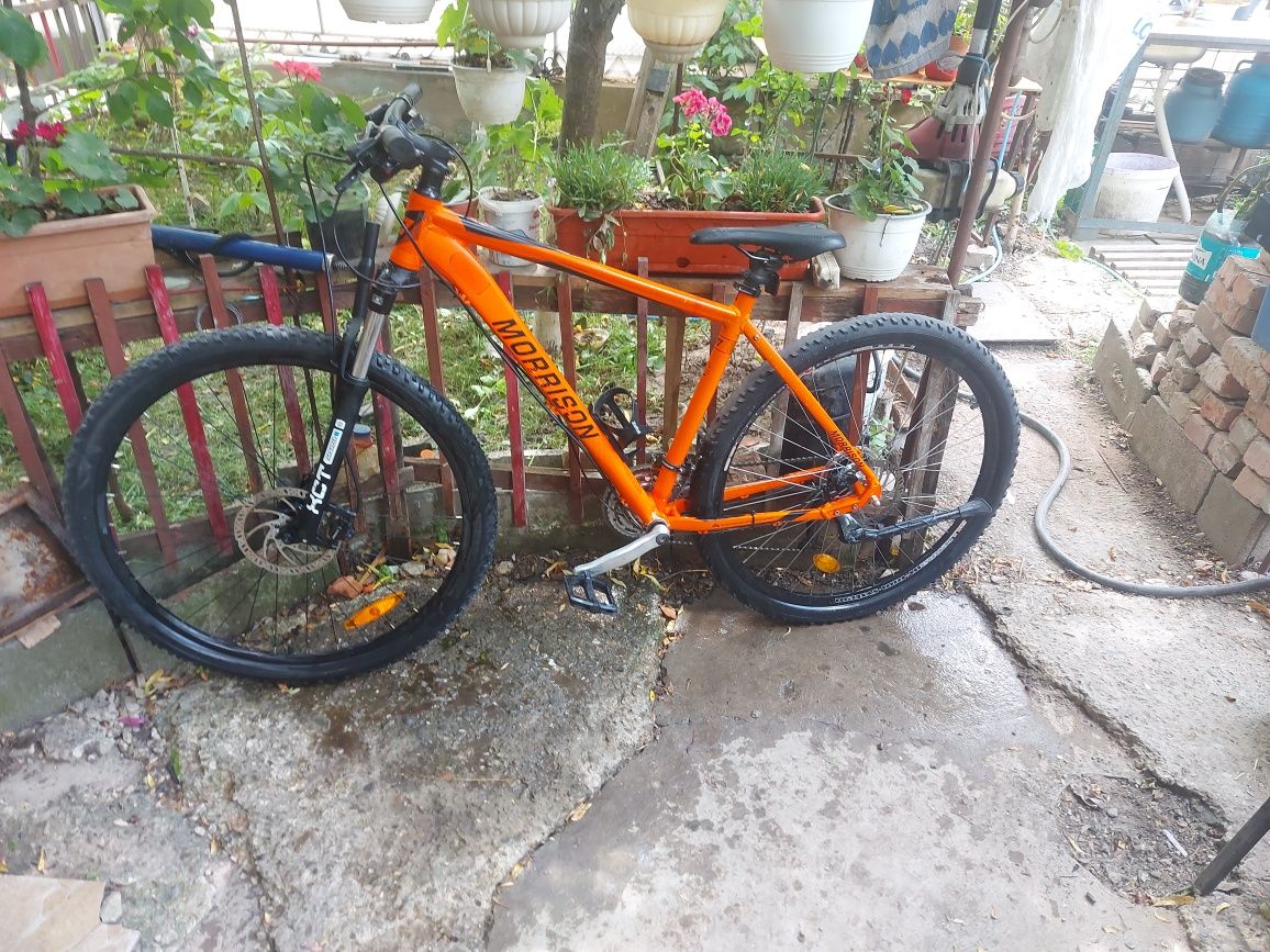 Biciclete  29"Morrison  comanche 29"