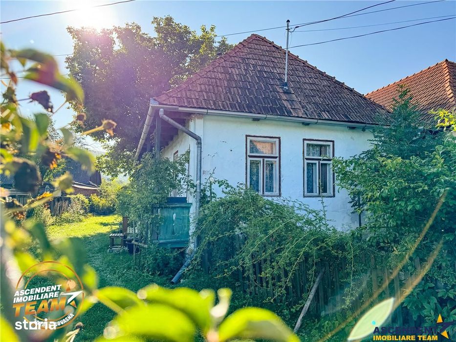 FILM! Proprietate traditionala,de poveste,cu 3.000 mp teren intravilan