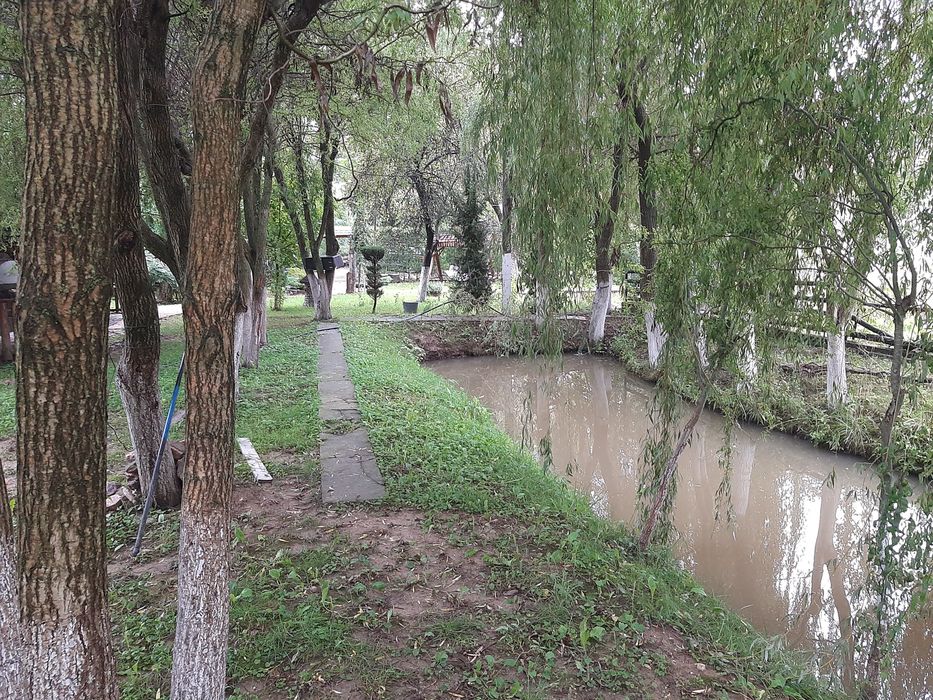 Vând casă la țară