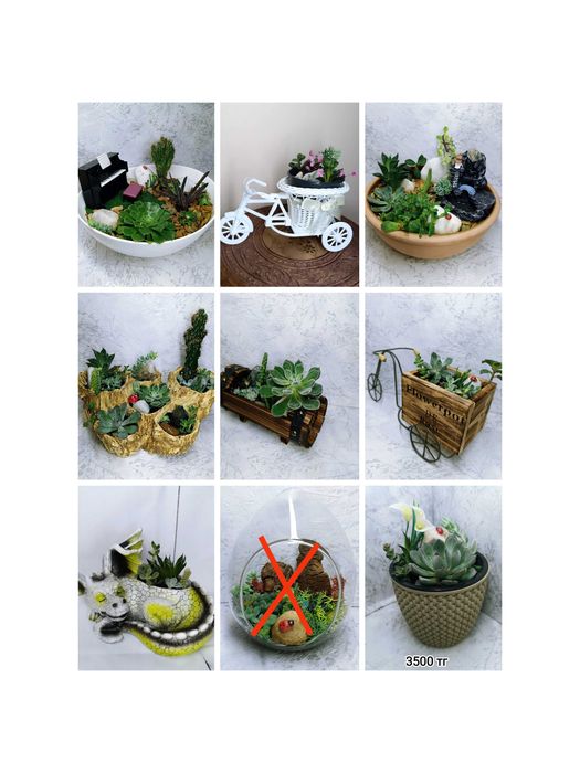 Мини садики и флорариумы с живыми растениями - оригинальный подароК