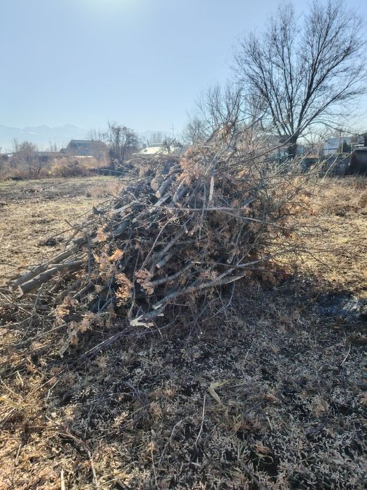 Дрова сухие еее ее