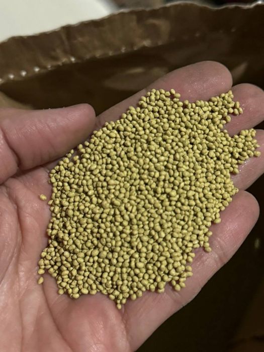 Беда уруг (оригинал)