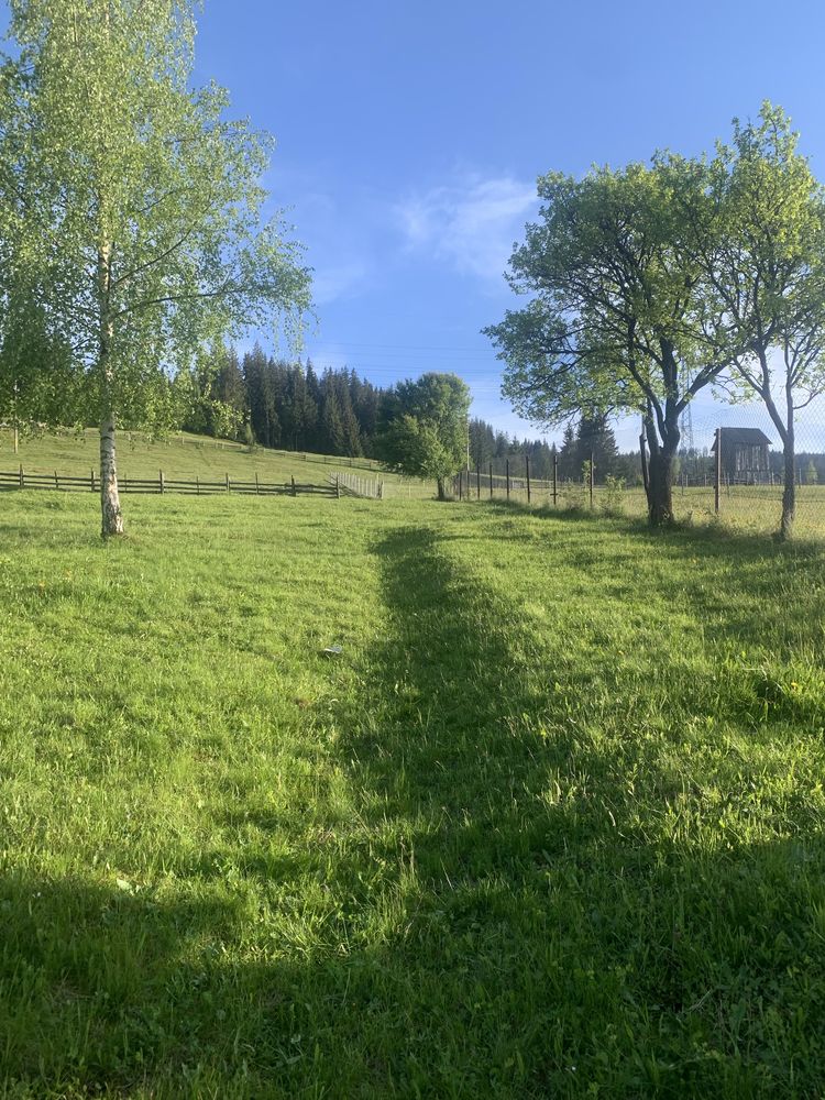 Vanzare teren intravilan