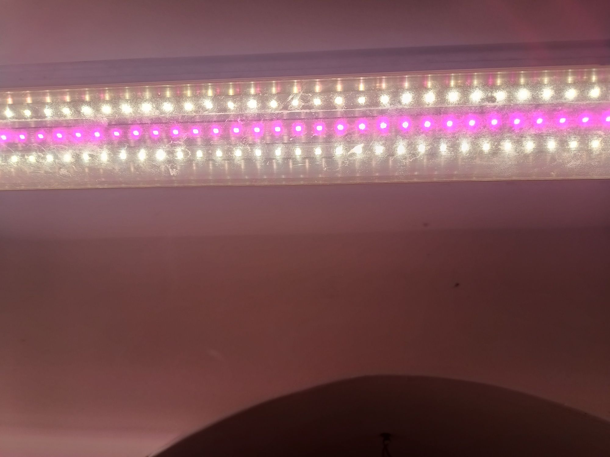 Lampa LED acvariu