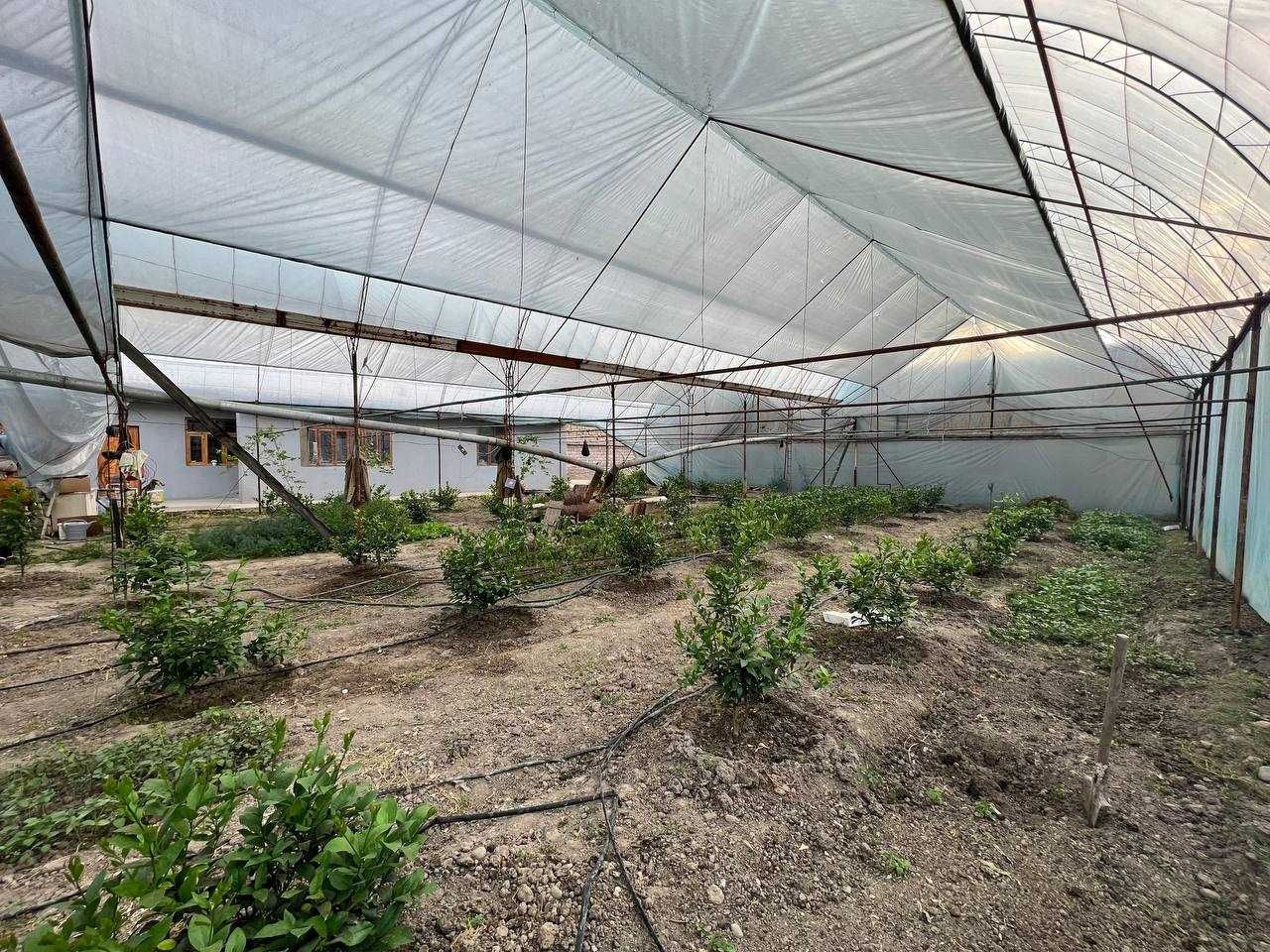 FOOD CITY и Катта Куйлик бозори ёнида махаллада уй сотилади, срочный