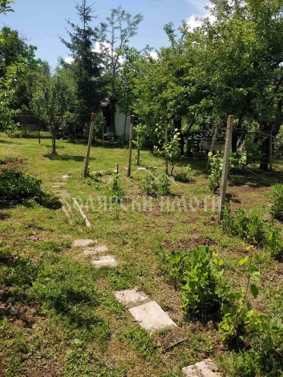 Панорамен парцел
