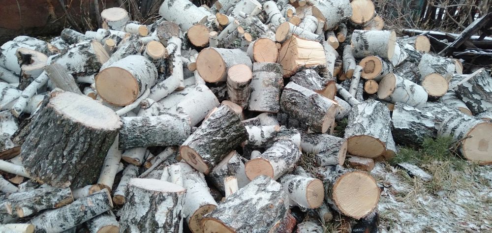 Продам дрова берёза