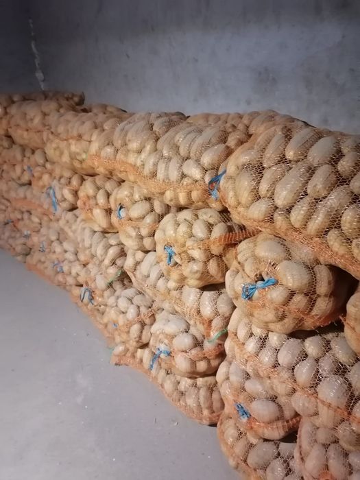 Vand cartofi consum alb si rosu