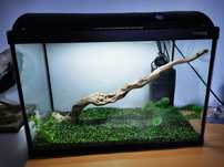 Vand acvariu complet echipat 60/30/40cm 72litri din sticla groasa