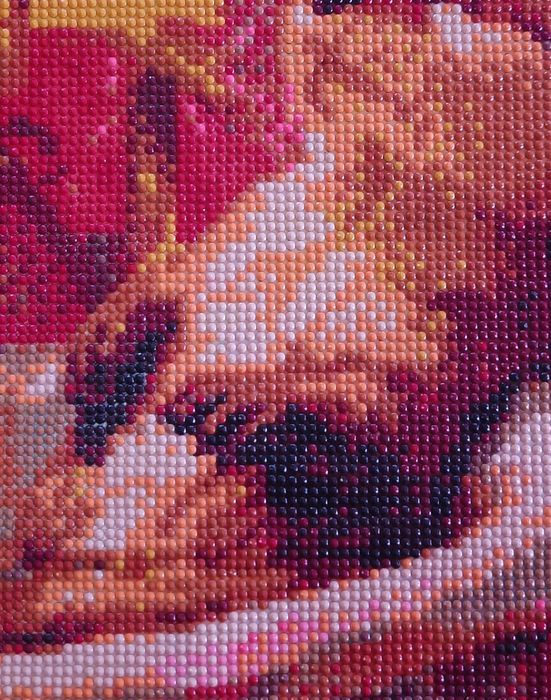 Tablou handmade Diamond Painting – Vidră&Cadă (30x40 cm)