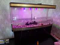 Завадской акриловый аквариум с тумбой +-400 литров