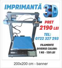 Imprimanta 3 D Profesionala si Filamente