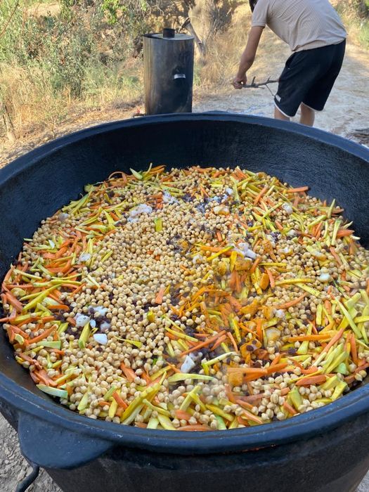 Плов ,Палау басамын