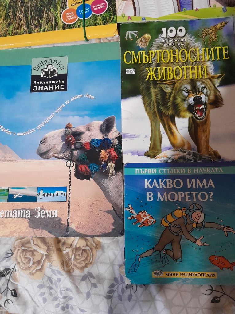 5 броя за 10 лв .