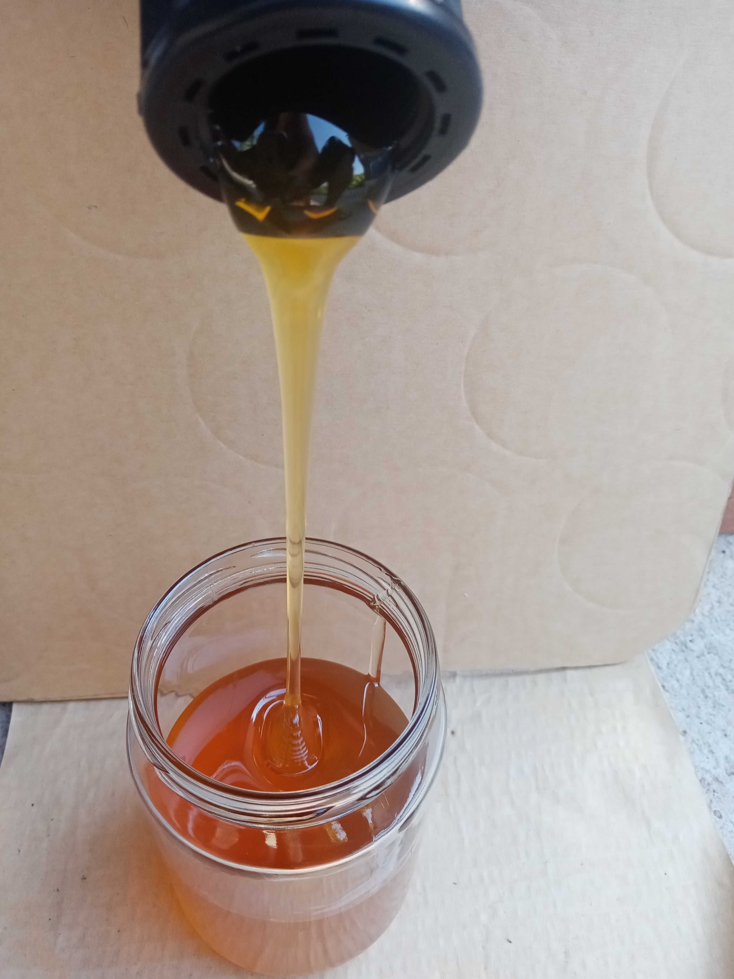 полифлорен пчелен мед