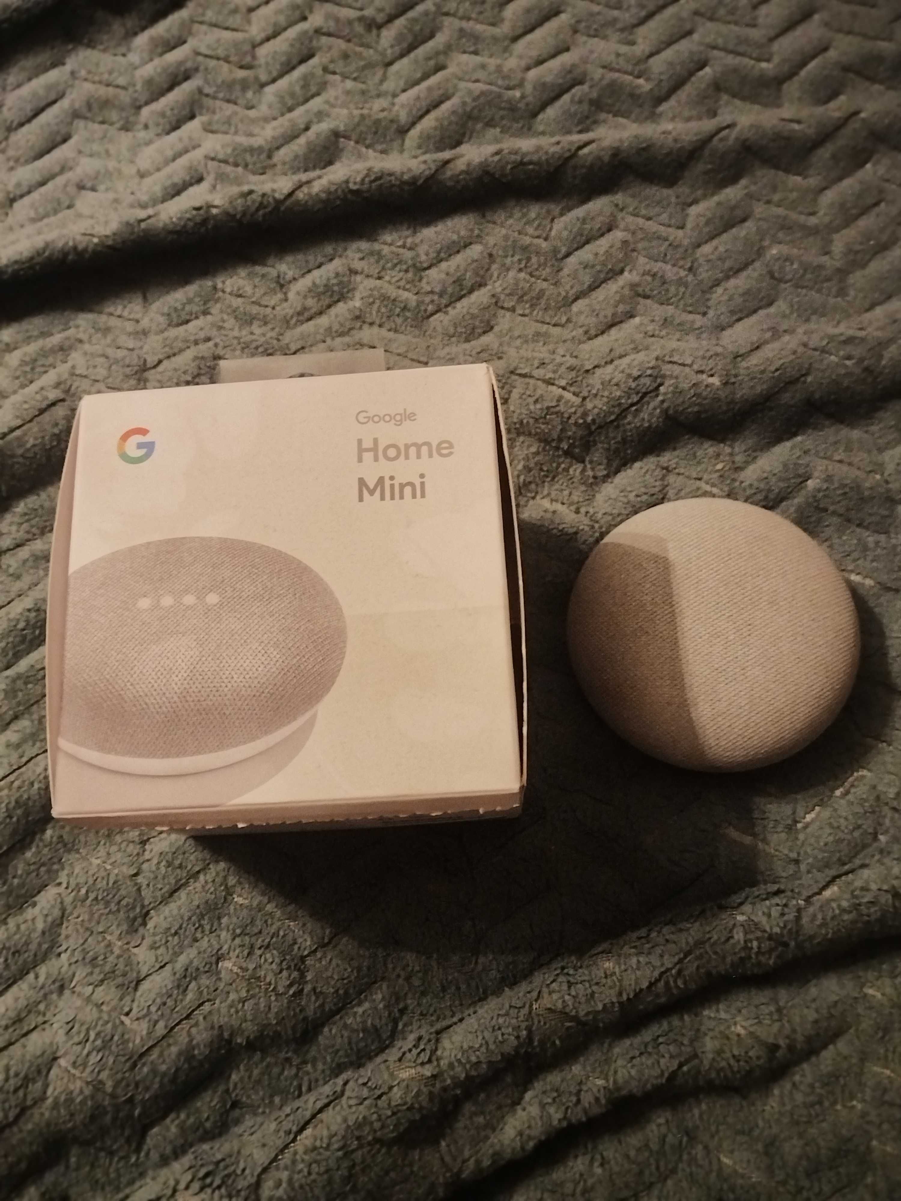 Boxa Google Home Mini