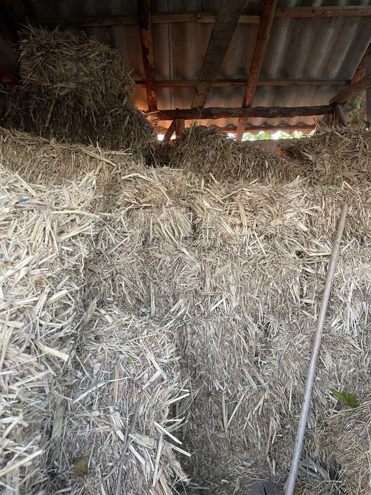 Baloti de fân,ovăz,coceni